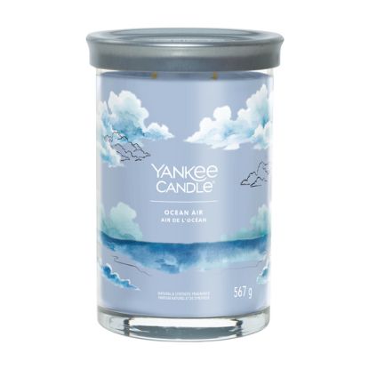 Immagine di Yankee Candle Signature candela di cera Cilindro Ambra, Giacinto, Legno di Sandalo Blu 1 pz