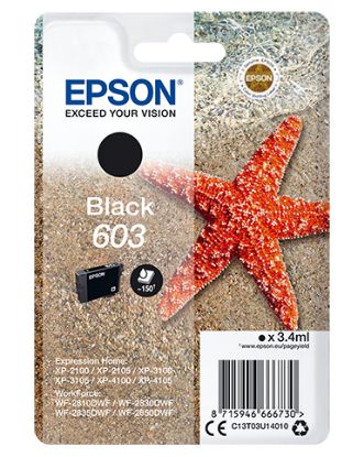 Immagine di Epson Singlepack Black 603 Ink