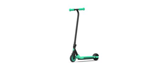 Immagine di Ninebot by Segway Zing A6 Nero, Verde 12 km/h 2,5 Ah