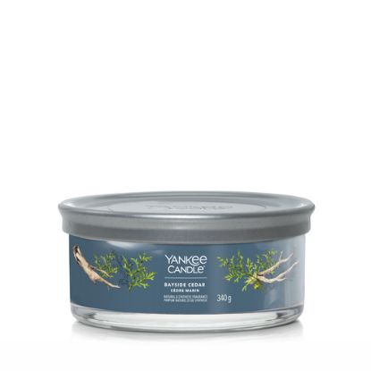 Immagine di Yankee Candle Bayside Cedar candela di cera Rotondo Ambra, Pompelmo, Mandarino Blu 1 pz